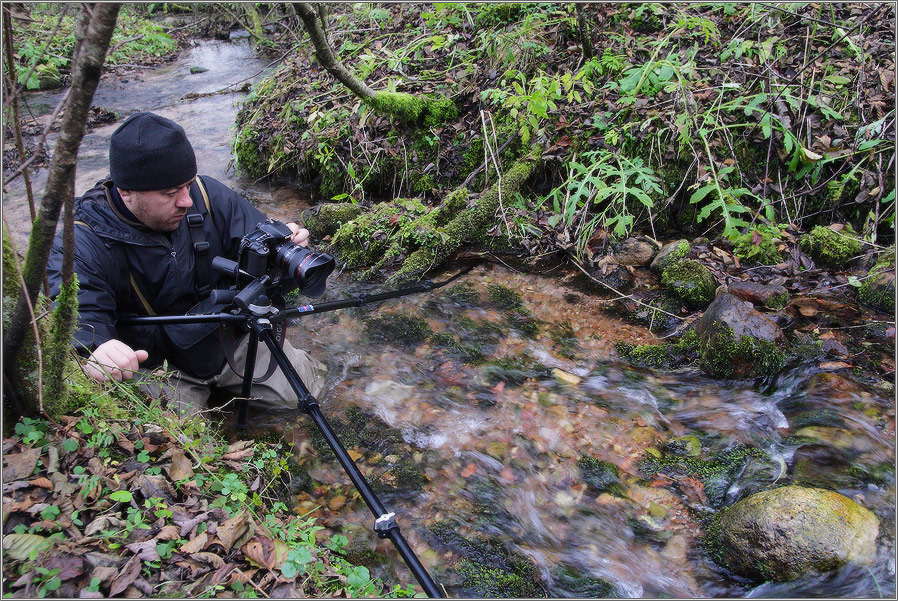 Wochentag Naturalist