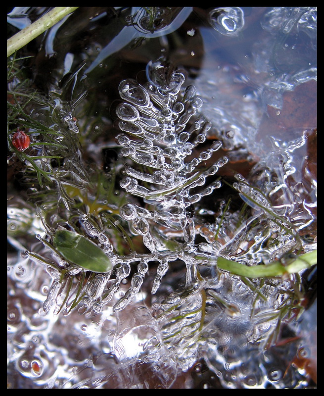 die Welt unter dem Eis