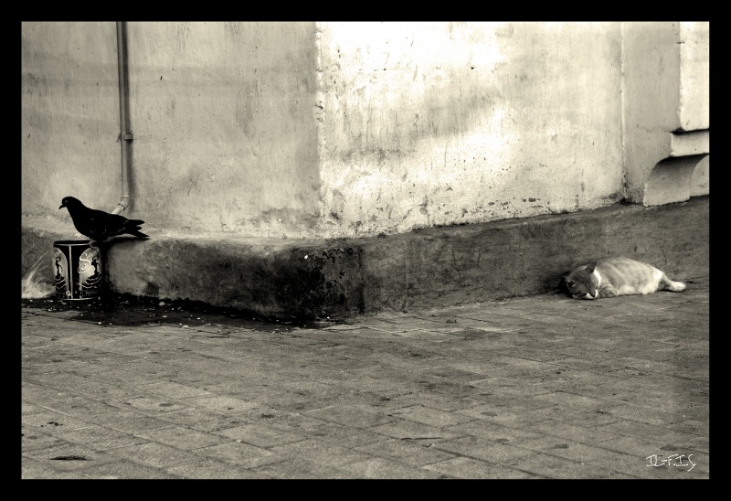 NIKOGA NEZNASH dass auf dich wartet gleich um die Ecke