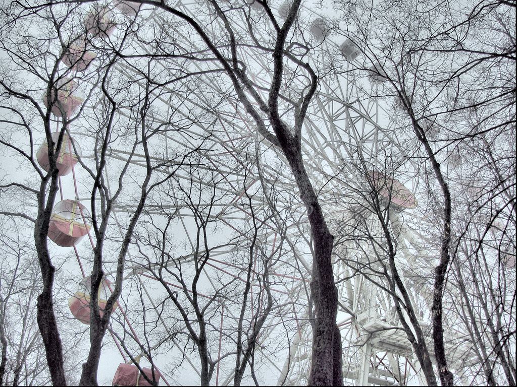 Morning. Gorky Park. Riesenrad. Nebel.