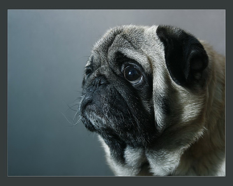 Auch über Treue und Weisheit ...