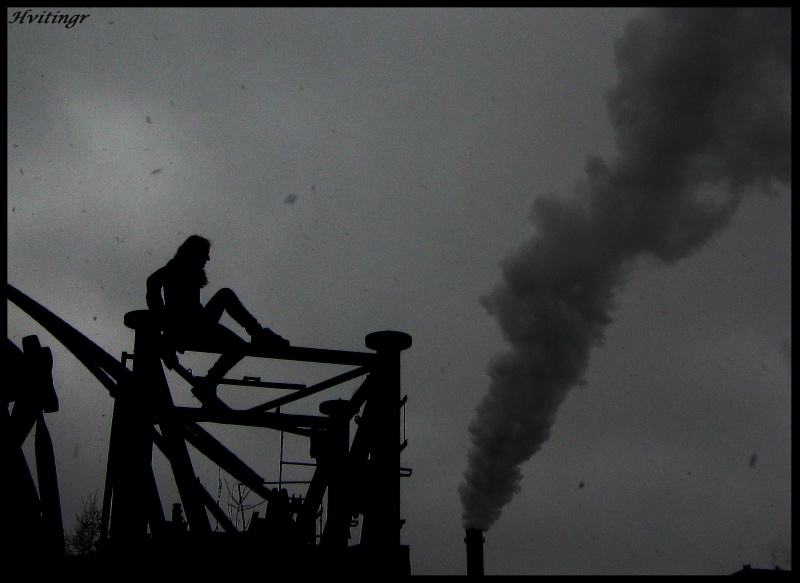 Die Industrialisierung im Blut