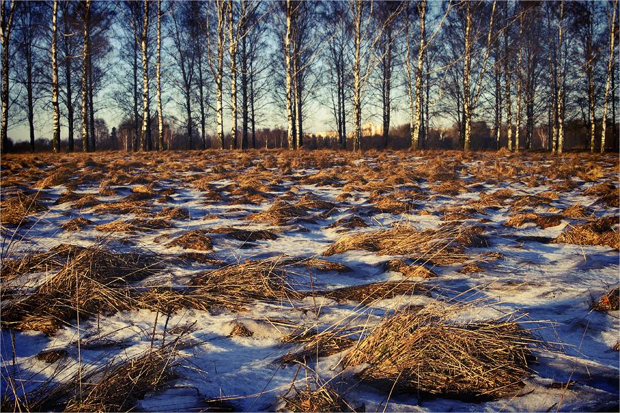 Herbst-Winter-Rhythmen