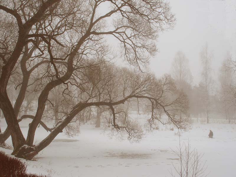 am Rande der gekrümmten Linien