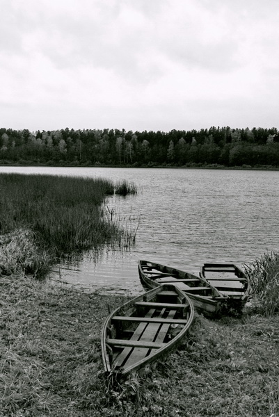 Aufgewachsen in Bank