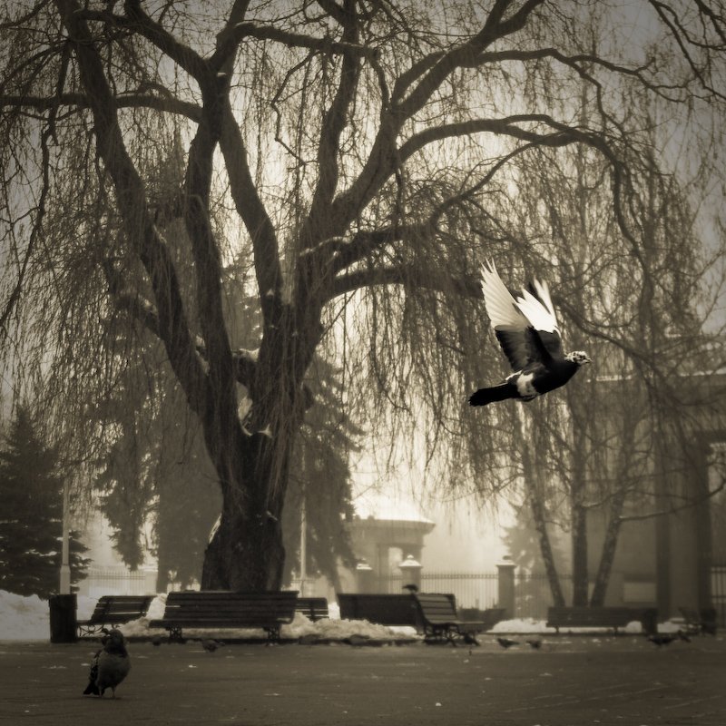 Ich Millisekunde zählt im Leben von Winter Park