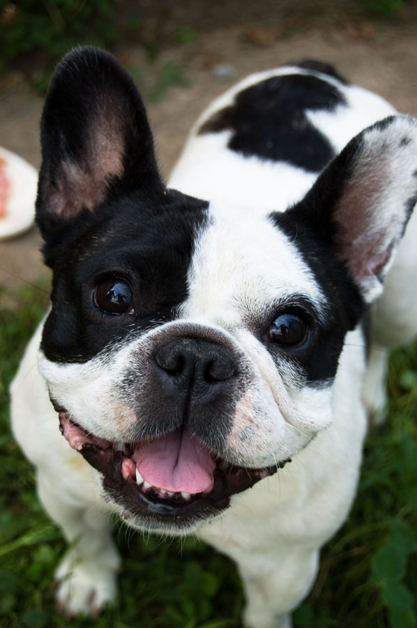 Nun, dumm du, Leute!