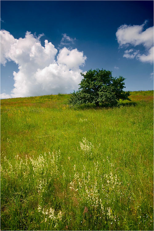 Sommer am Rande der Erde