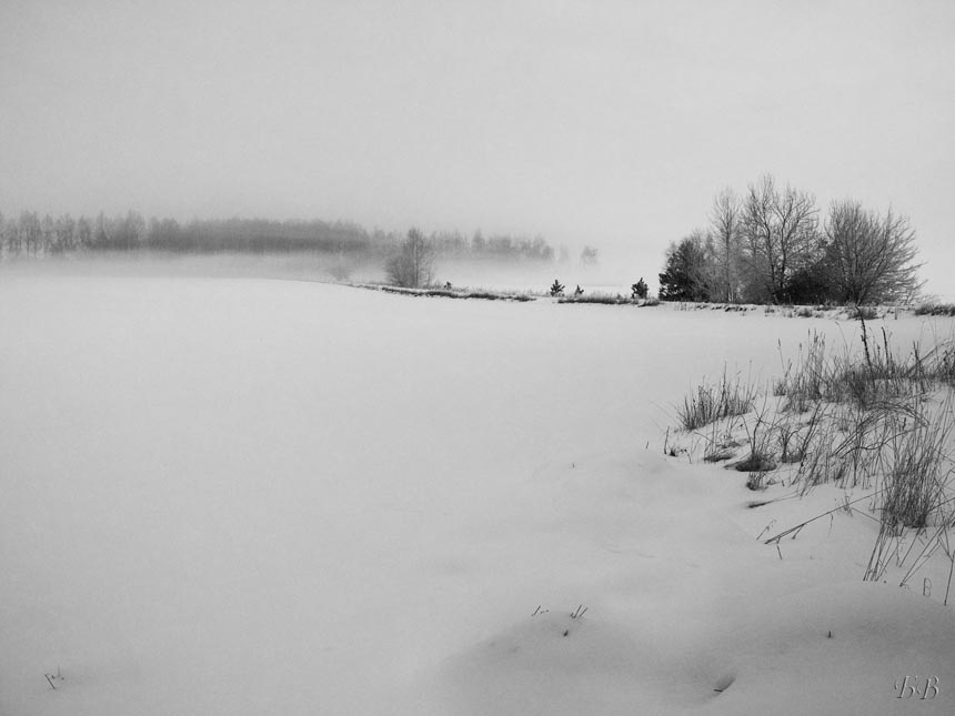 In der frostigen Nebel