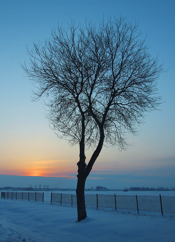 Auf dem Weg in ein anderes Land ...
