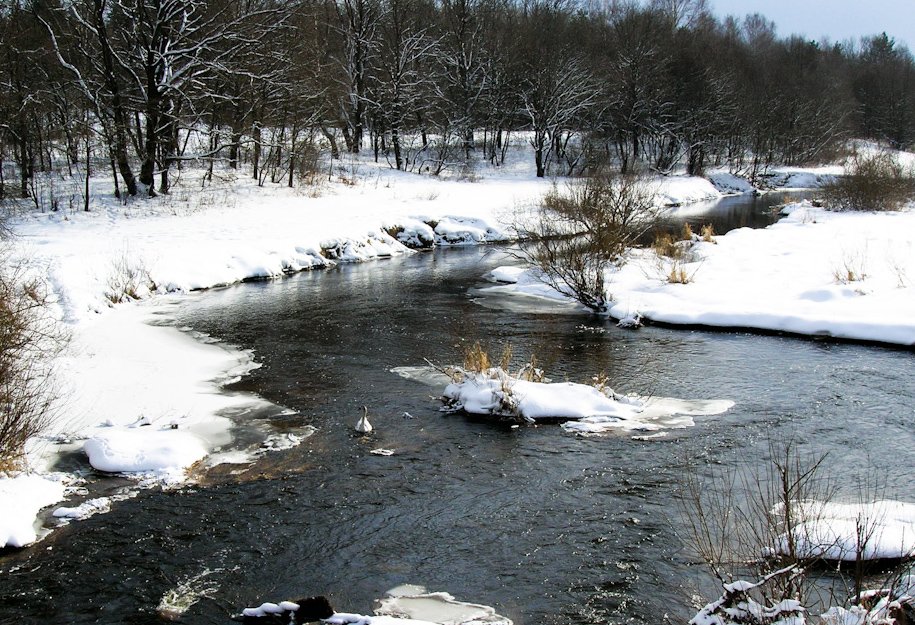 Auf der Suche nach Freunden