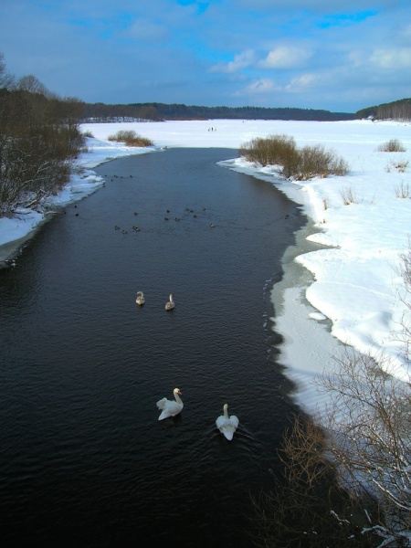 Es ist Zeit für Paare