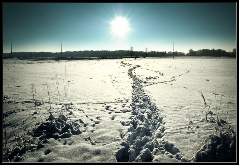 Der Weg zur Sonne ...