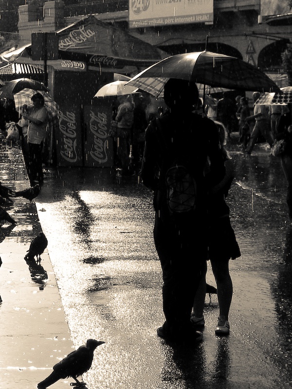 :u0026gt; Cizhu und leise Welken