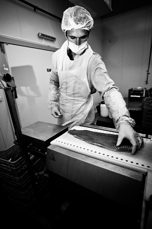 Auf Fische, die rote