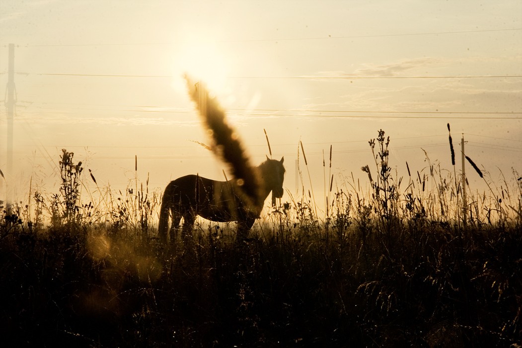 Soft Sonnenlicht ...