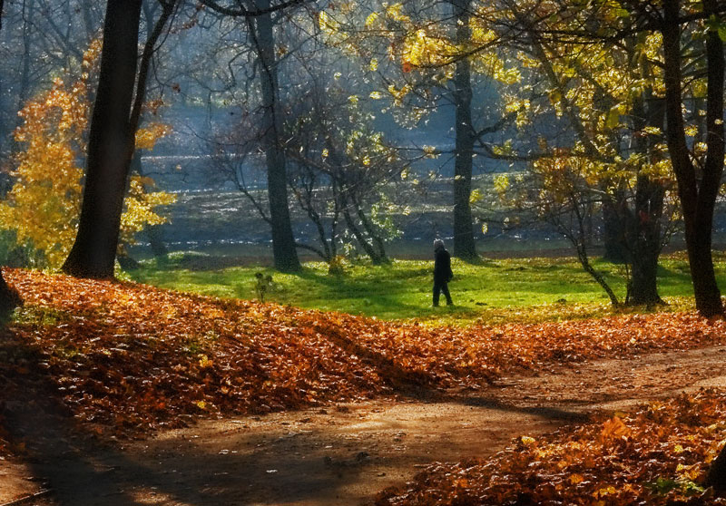 Wandern durch den Herbst