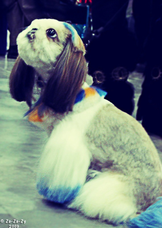 "Wann wird es Ende ?..."