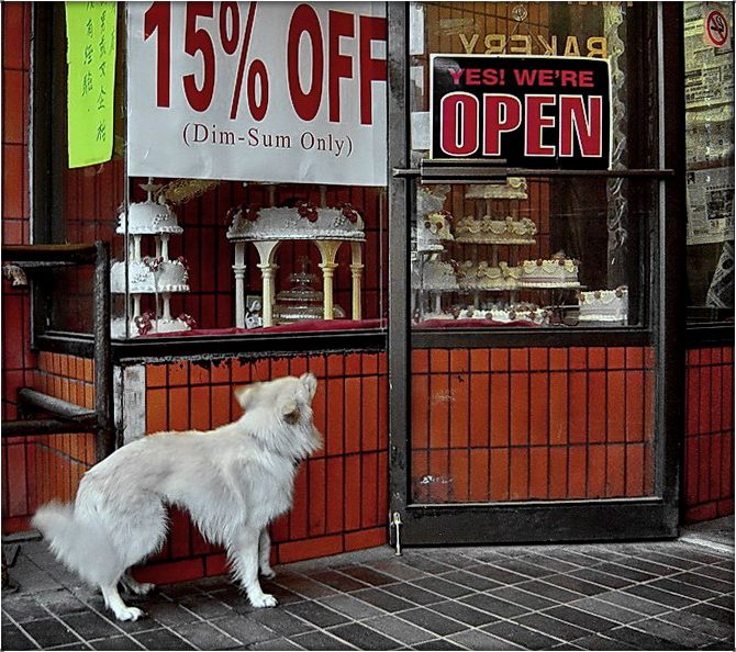 lope, Lope? Balken oder ein Trick?