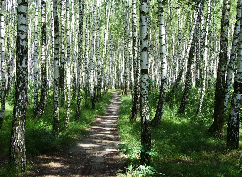 einfach gegenüber dem Vorjahr