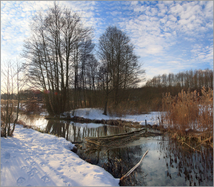 kompakt einfrieren: Fähre