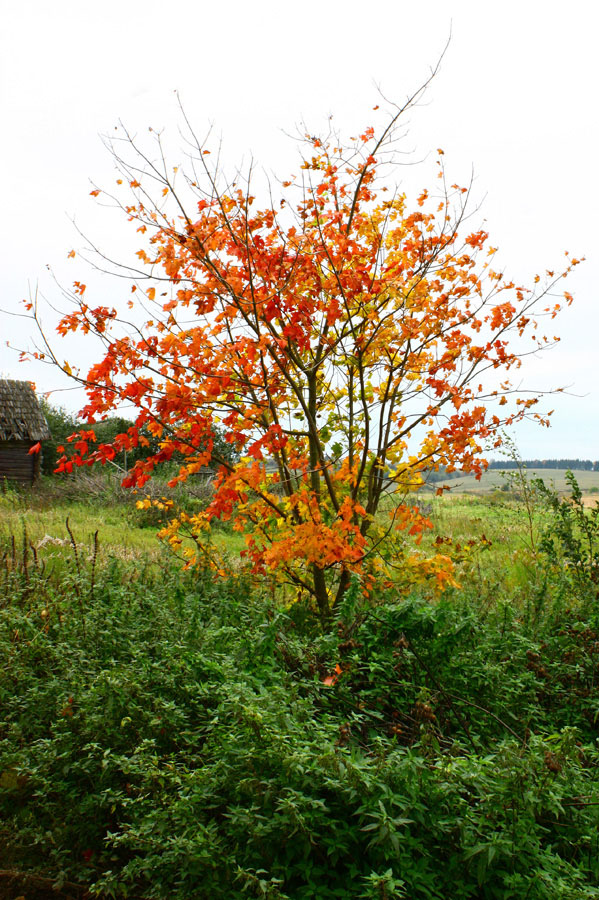zwischen Sommer und Winter