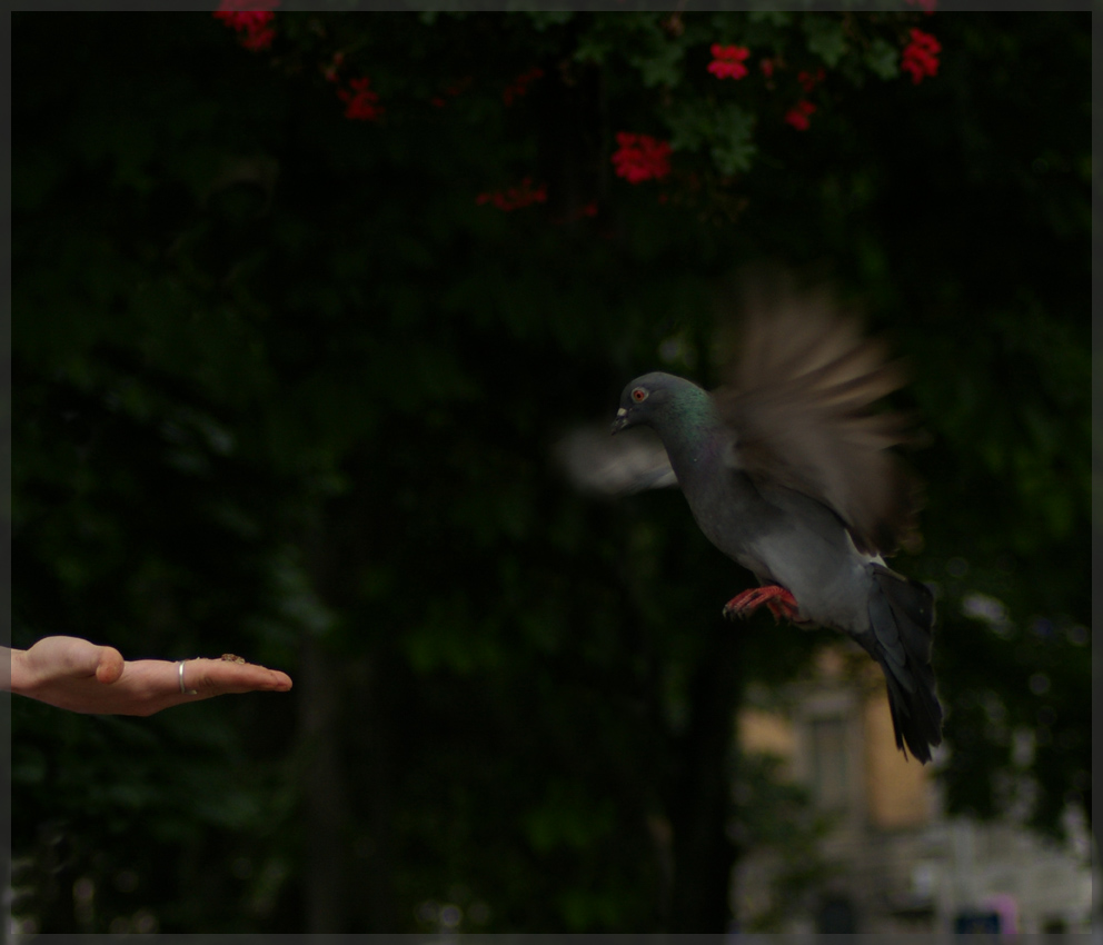 Es gibt eine Zeit Snack ...