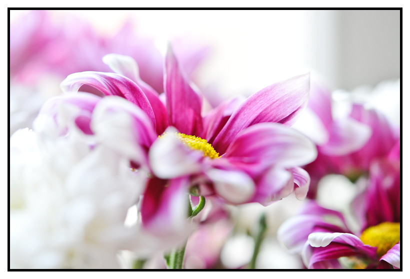 C Tag der Frühling!