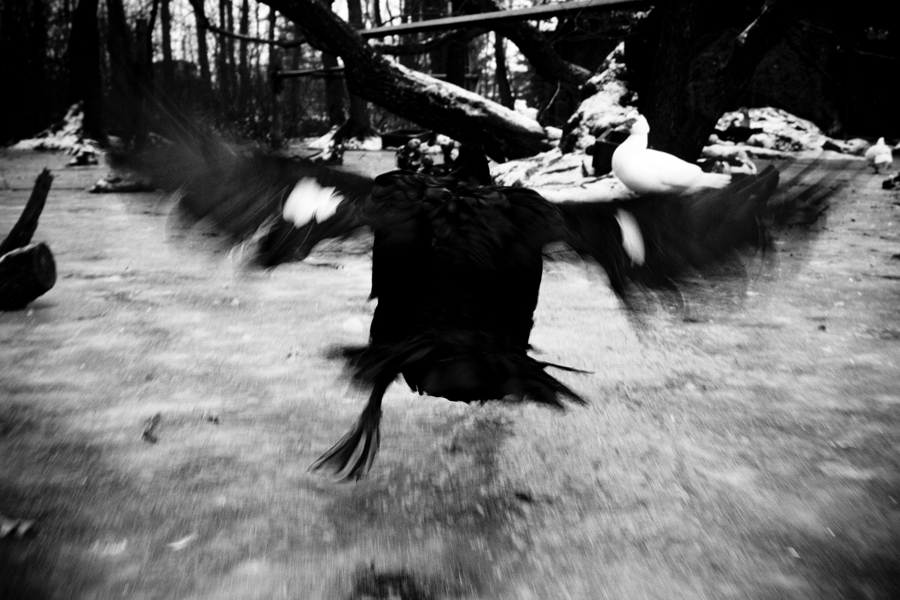 Finsternis bedeckt die Erde.