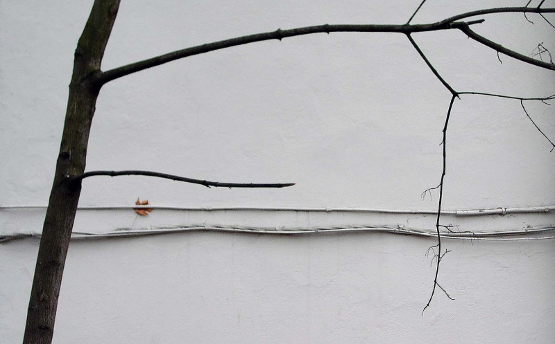 vom Herbst ... bis zum Frühjahr