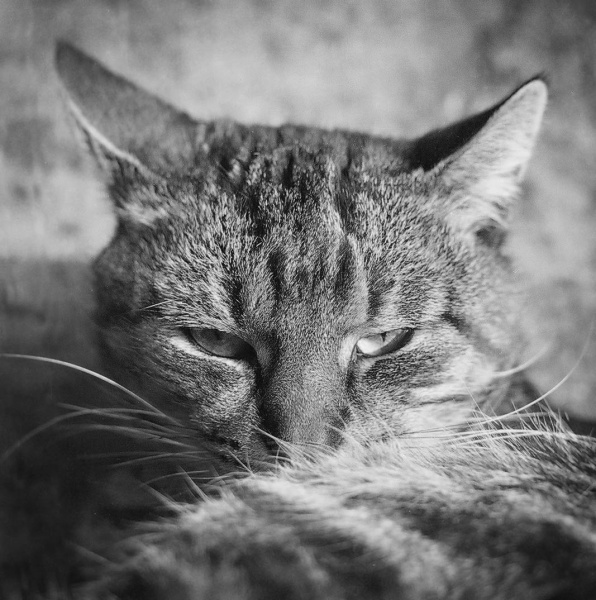 Noch nicht einmal denken!