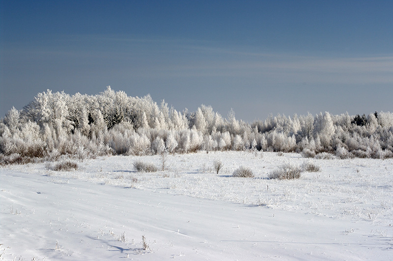 Zeeman Geschichte Lepel