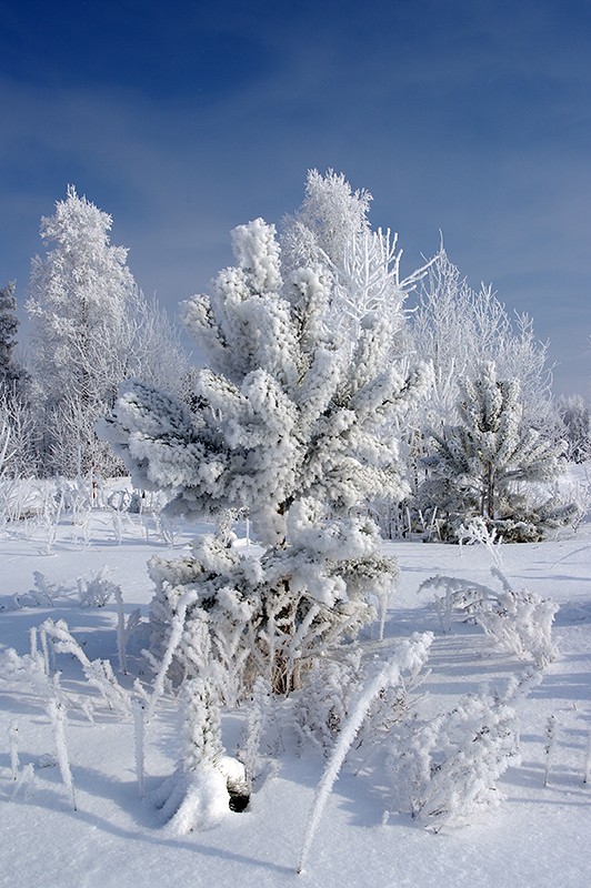 Nur einen Steinwurf von dem Märchen werfen