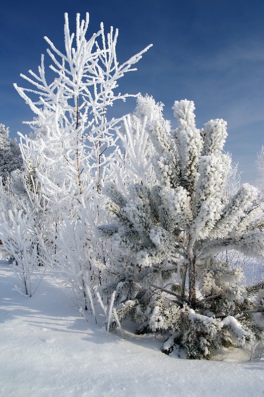 Einen Steinwurf von der Tales 2 werfen