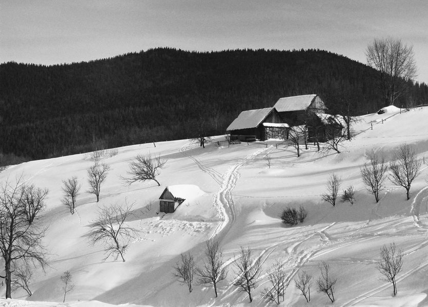 Landschaft mit Freeride komplett