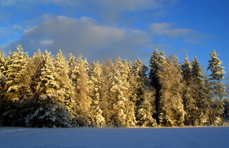 Abschied von Winter.