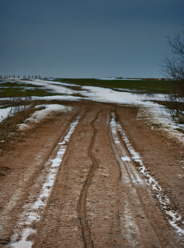 im nächsten Frühjahr Abend