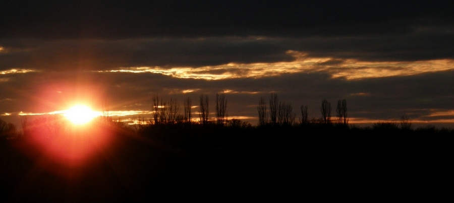 Die Geburt einer Supernova