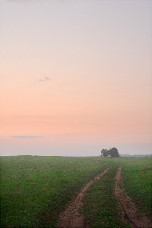 Priozernaya tummanost