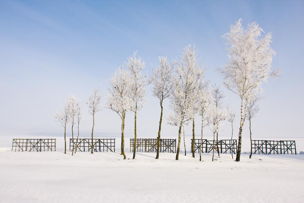 Ein paar Tage bis zum Frühjahr.