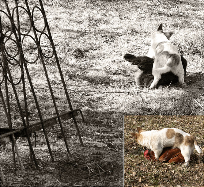 "Für die Freundschaft der Völker!"