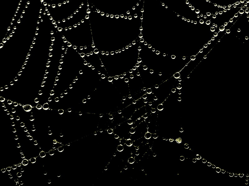 Holen Sie sich bis in den frühen Morgenstunden ...