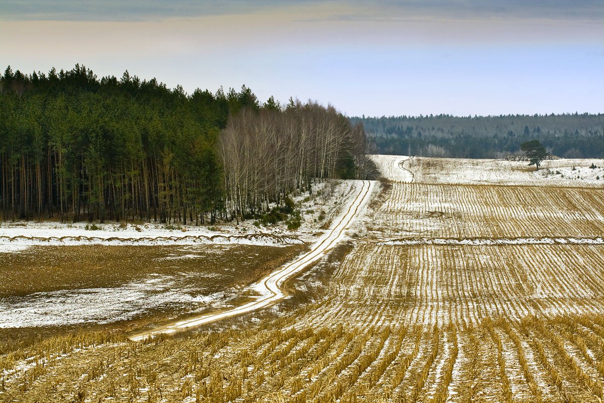 Reservierter Bereich