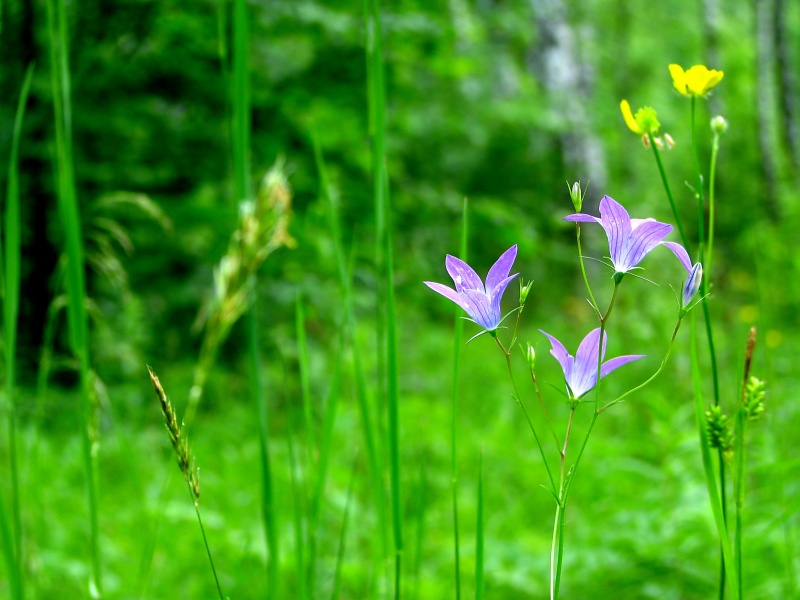 Dafür lieben wir im Sommer