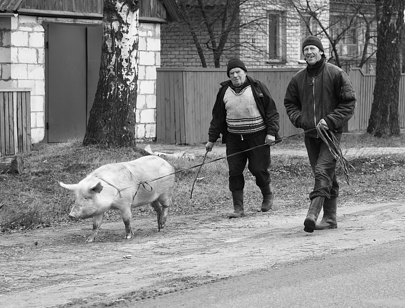 Katzen sind anders ...