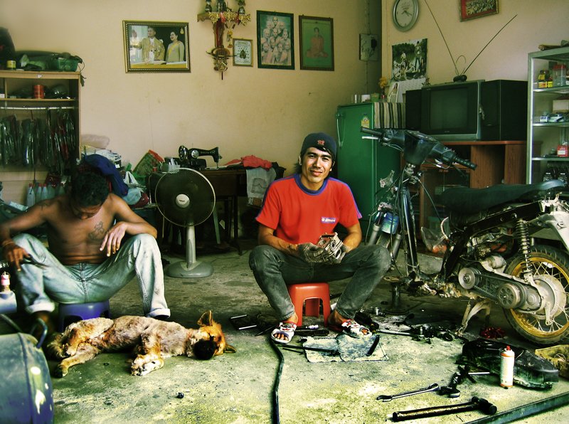 Live auf der Insel ...