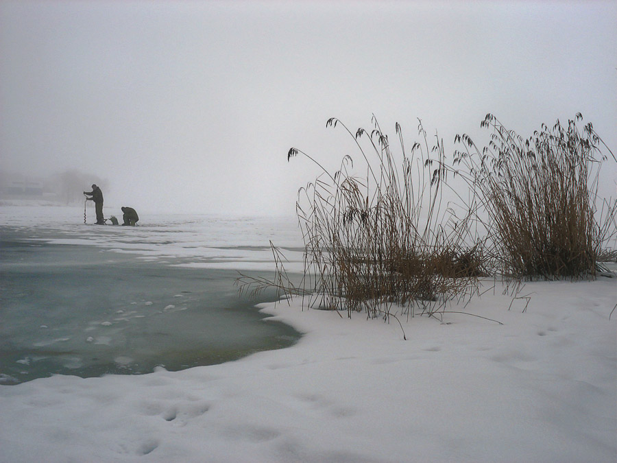 Eine kurze Geschichte der Fischer und ...