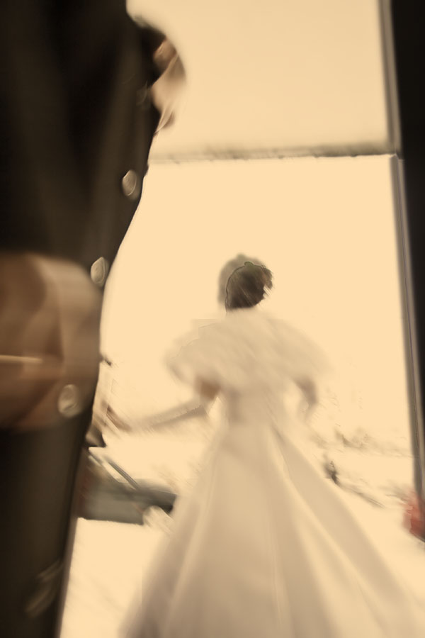 die Veröffentlichung