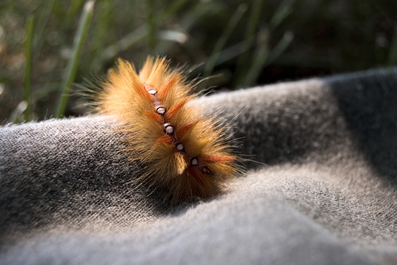 Going auf einer langen Reise