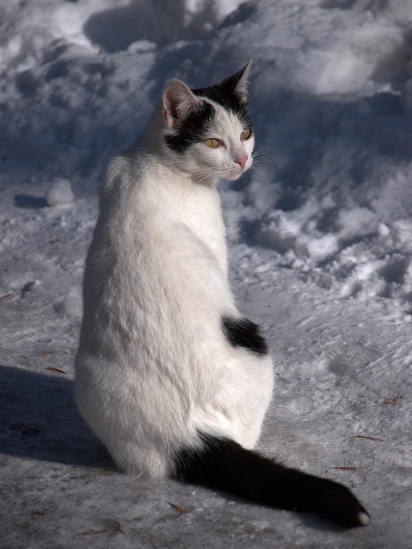 Nur die Sonne lässt sich nicht ausschalten